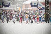 Estoloppeti kolmas etapp peetakse laupäeval Alutagusel